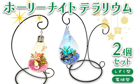 ホーリーナイトテラリウム2個セット(しずく型、電球型)|多肉植物 テラリウム クリスマス ギフト 贈答用 贈り物 プレゼント ※2025年12月中旬〜12月下旬頃に順次発送予定