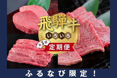 yӂȂьzyցzˋ낢 3BZbg ւ̔zs FN-Limited-SP