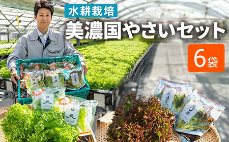 美濃国やさいセット 計6袋 | 野菜 野菜セット レタス フリルレタス 水耕栽培 安全 安心 衛生的 新鮮 シャキシャキ 産地直送 サラダ サンドイッチ ※離島への配送不可