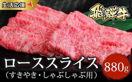 ˋ [XXCXi₫EԂԗpj800g kCEEւ̔zs