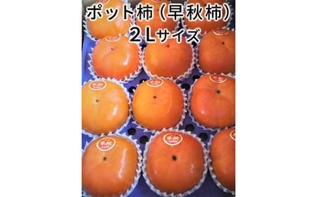 こだわり栽培ポット柿(早秋柿) 2Lサイズ12個入り