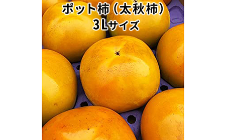 こだわり栽培ポット柿(太秋柿)3Lサイズ9個入り|果物類 かき メルマガ掲載 ※離島への配送不可 ※2025年10月中旬〜11月上旬頃に順次発送予定