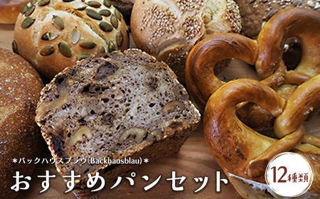 バックハウスブラウ(Backhausblau)おすすめパンセット12種類 | パン ぱん ドイツパン パンセット ベーカリーセット 詰め合わせ 食べ比べ 朝食 冷凍 冷凍パン 送料無料 岐阜県 瑞穂市 ※離島への配送不可