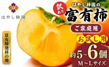 [先行予約][訳アリ]はやし柿園のご家庭用 富有柿 M~Lサイズ 約5~6個(お試し用) 