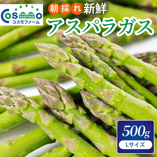 朝採り新鮮アスパラガス 500g[Lサイズ] | アスパラガス