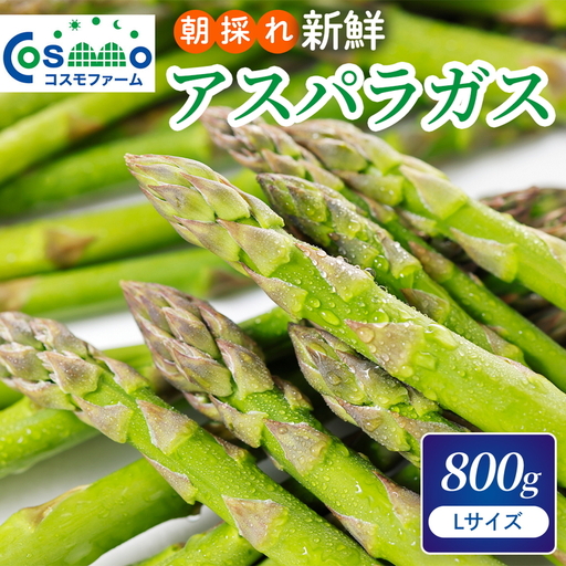 朝採り新鮮アスパラガス 800g【Lサイズ】 | 野菜 アスパラガス グリーンアスパラ 旬 とれたて 春野菜 春 朝採り 朝採れ とれたて 新鮮 みずみずしい サラダ 甘い お取り寄せ 産地直送 冷蔵 岐阜県 瑞穂市