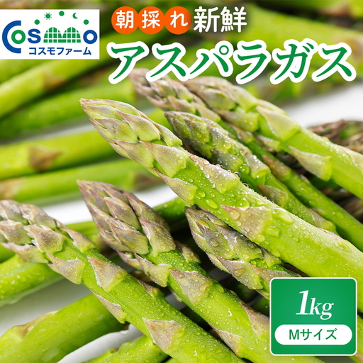 朝採り新鮮アスパラガス 1kg【Mサイズ】 | 野菜 アスパラガス グリーンアスパラ 旬 とれたて 春野菜 春 朝採り 朝採れ とれたて 新鮮 みずみずしい サラダ 甘い お取り寄せ 産地直送 冷蔵 岐阜県 瑞穂市