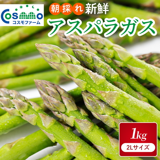 朝採り新鮮アスパラガス 1kg【2Lサイズ】 | 野菜 アスパラガス グリーンアスパラ 旬 とれたて 春野菜 春 朝採り 朝採れ とれたて 新鮮 みずみずしい サラダ 甘い お取り寄せ 産地直送 冷蔵 岐阜県 瑞穂市
