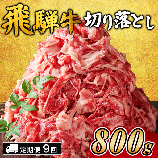 【9ヵ月定期便】飛騨牛切り落とし 800g ｜国産 和牛 牛肉