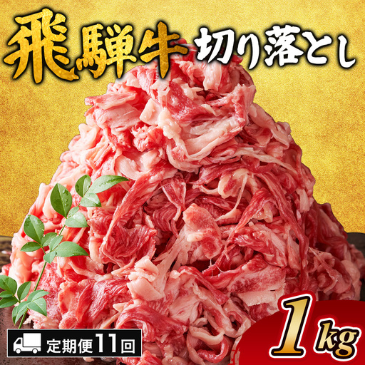 【11ヵ月定期便】飛騨牛切り落とし 1kg ｜国産 和牛 牛肉