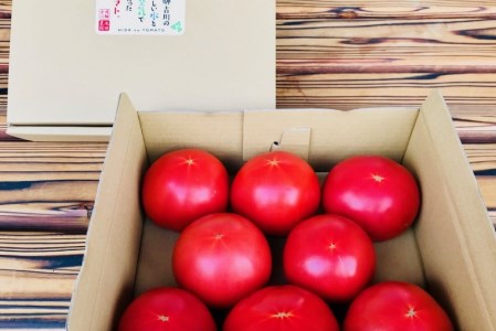 [先行予約]令和7年産[期間限定・数量限定]朝採り発送!飛騨古川のおいしい水と空気で育った大玉トマト 3kg[A0038_25]