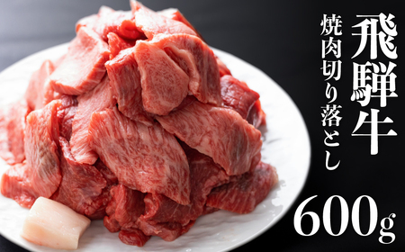 [訳あり]飛騨牛 焼肉用切り落とし 600g