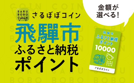 さるぼぼコイン 飛騨市ふるさと納税ポイント 3,000pt [Q2297]