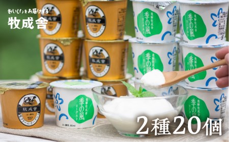 飛騨の牛乳屋こだわり　食べるタイプのヨーグルト２種類盛沢山20個セット 朝食 [A0093]