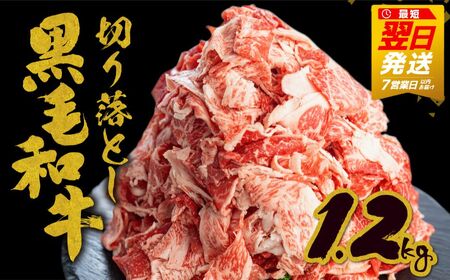 [訳あり]うまい赤身にこだわった 和牛肉 切り落とし 1.2kg (300g×4) 牛肉 [Q2423]