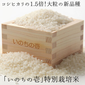 [先行予約]令和6年産 『いのちの壱』 5kg×3 計15kg 米 白米 玄米 新米 クオリティ飛騨 [Q790x_24]