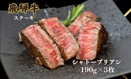 A5等級 飛騨牛 シャトーブリアン ヒレステーキ 190g×3枚(計570g)牛肉 和牛 ステーキ 厚切り 飛騨市肉 にく ヒレ 黒毛和牛 和牛 国産 飛騨岐阜人[Q2507]