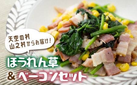 令和7年産[先行予約][6月〜10月発送]奥飛騨山之村 清水さんちのほうれん草180g×2・山之村牧場 スライスベーコン 100g セット 野菜 葉物野菜 ホウレンソウ ほうれんそう 産地直送[Q1536_u]