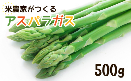 [先行予約]令和7年産[6月下旬より発送]米農家がつくる!水にこだわった朝採れアスパラガス M~L 500g [Q1411MLx_25]