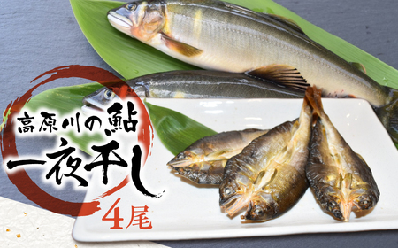 鮎の一夜干し 1袋 岐阜県産 あゆ アユ 鮎 常備食 簡単調理 [Q1537_u]