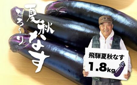 先行予約 令和7年産[7月上旬〜10月中旬発送]飛騨 夏秋なす 約1.8kg 茄子 ナス 大なす 産地直送 夏野菜[Q792_u]