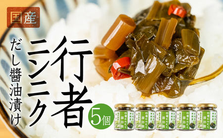 【先行予約】5月下旬～1月中旬発送 行者ニンニクだし醤油漬け 5個 瓶詰 瓶詰め おつまみ おかず ご飯のお供 惣菜 [Q2799]