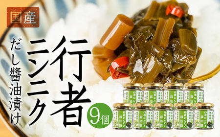 【先行予約】5月下旬～1月中旬発送 行者ニンニクだし醤油漬け 3個 瓶詰 瓶詰め おつまみ おかず ご飯のお供 惣菜 [Q2800]