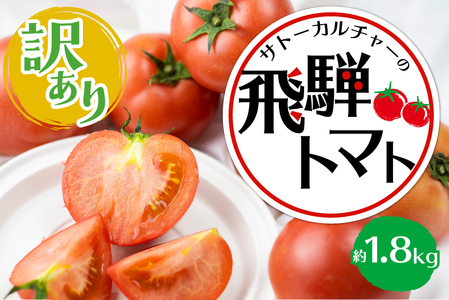 [2025年先行予約][訳あり]飛騨トマト 約1.8kg 6月以降順次発送 産地直送 トマト 夏野菜 野菜 5000円 飛騨市