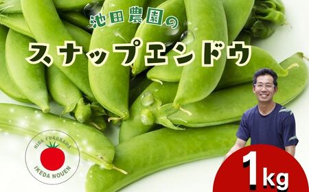 ＼シャキシャキ プリプリ／ 採れたて スナップエンドウ 1kg 令和7年産 飛騨産 国産 スナップえんどう 旬 旬もの 産地直送 野菜 2025年産 【6月上旬～6月下旬発送】飛騨市 池田農園 10000円 1万円  [Q2944]