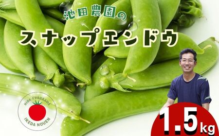 ＼シャキシャキ プリプリ／ 採れたて スナップエンドウ 1.5kg 令和7年産 飛騨産 国産 スナップえんどう 旬 旬もの 産地直送 野菜 2025年産 【6月上旬～6月下旬発送】飛騨市 池田農園 15000円 [Q2945]
