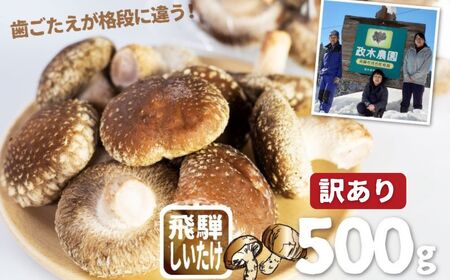 [先行予約][11月下旬〜4月下旬]訳あり しいたけ 計500g 政木農園 しいたけ シイタケ 椎茸 飛騨 不揃い サイズバラバラ 簡易包装 鍋 天ぷら バーベキュー[Q2877]