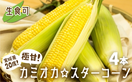 [先行予約][期間・数量限定]まるでフルーツ!特別栽培トウモロコシ 激甘!極旨のスーパースイート系トウモロコシ「カミオカ☆スターコーン」令和7年産 4本お届け[Q2979_25]