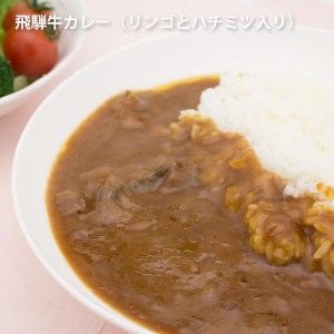 りんごとはちみつ入り飛騨牛カレー 1袋×10 (10食)[C0074pic]