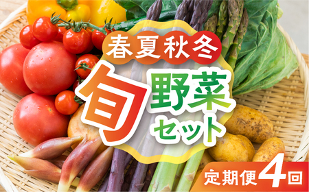[4回定期便]飛騨の四季のお野菜 旬定期便 4回お届け 旬の新鮮 野菜セット (5〜6品)