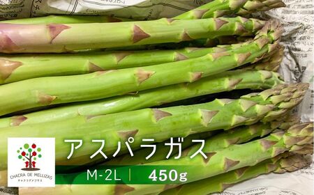 ss\tߘa8NY TCYs AXp450g  󂠂 AXp [Q1821x_26]