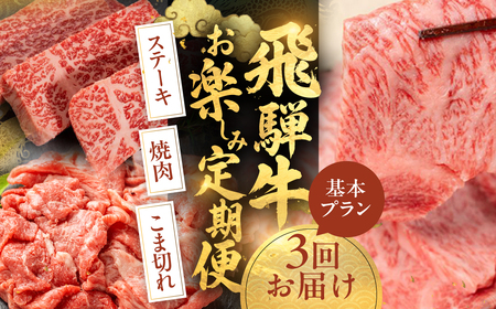 [発送月固定]飛騨牛お楽しみ定期便 3回 発送月固定