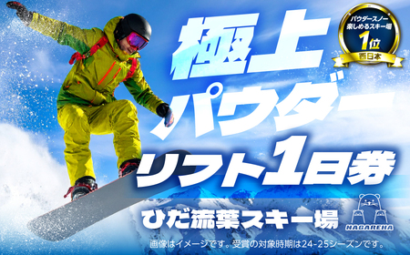 [スキーチケット]ひだ流葉スキー場 リフト券 スキーチケット