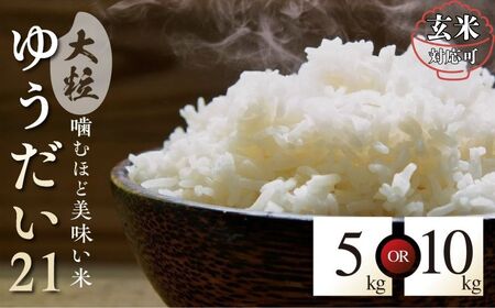 [玄米]特別栽培米 ゆうだい21 5kg 米 5キロ 玄米 阪口農園