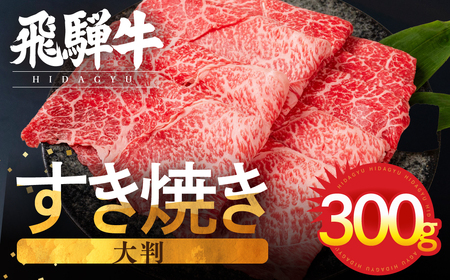 飛騨牛 すき焼き赤身300g JAひだ すき焼き [Q3003_300]