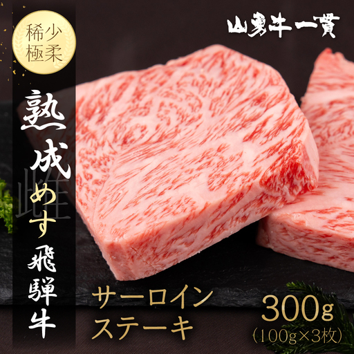 熟成めす 飛騨牛 山勇牛  サーロイン ステーキ 100g×3 飛騨牛サーロイン ステーキ