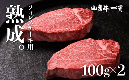 熟成めす 飛騨牛 山勇牛 フィレ ステーキ 100g×2 ヒレ 飛騨牛 フィレ ステーキ