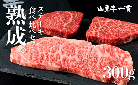 熟成めす 飛騨牛 山勇牛 部位おまかせ 3種 ステーキ 食べ比べ セット 100g×3 飛騨牛 ステーキ 食べ比べ