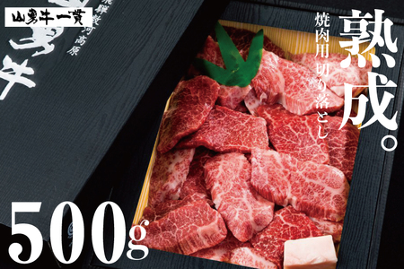 熟成めす 飛騨牛 山勇牛 焼肉 不揃い 部位MIX 500g 飛騨牛 焼肉 不揃い
