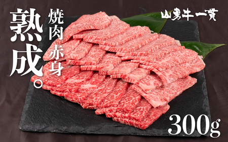 熟成めす 飛騨牛 山勇牛 焼肉 赤身 300g(100g×3) 飛騨牛 焼肉 赤身