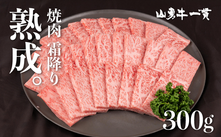 熟成めす 飛騨牛 山勇牛 焼肉 霜降り 300g(100g×3)飛騨牛 焼肉 霜降り