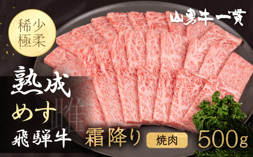 熟成めす 飛騨牛 山勇牛 焼肉 霜降り 500g 飛騨牛 焼肉 霜降り