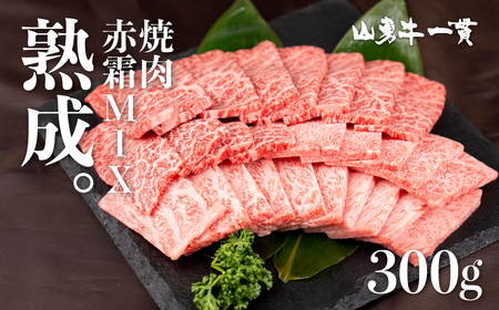 熟成めす 飛騨牛 山勇牛 焼肉 赤身 霜降り MIX 300g 飛騨牛 焼肉 赤身 霜降り