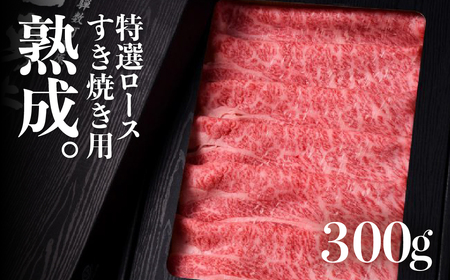 熟成めす 飛騨牛 山勇牛 特選 ロース すき焼き しゃぶしゃぶ 用 300g 飛騨牛 ロース すき焼き