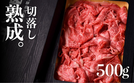 熟成めす 飛騨牛 山勇牛 部位 MIX 切り落とし スライス 500g 飛騨牛 切り落とし スライス