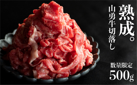 熟成めす 飛騨牛 山勇牛 小間切れ スライス 500g 飛騨牛 小間切れ スライス